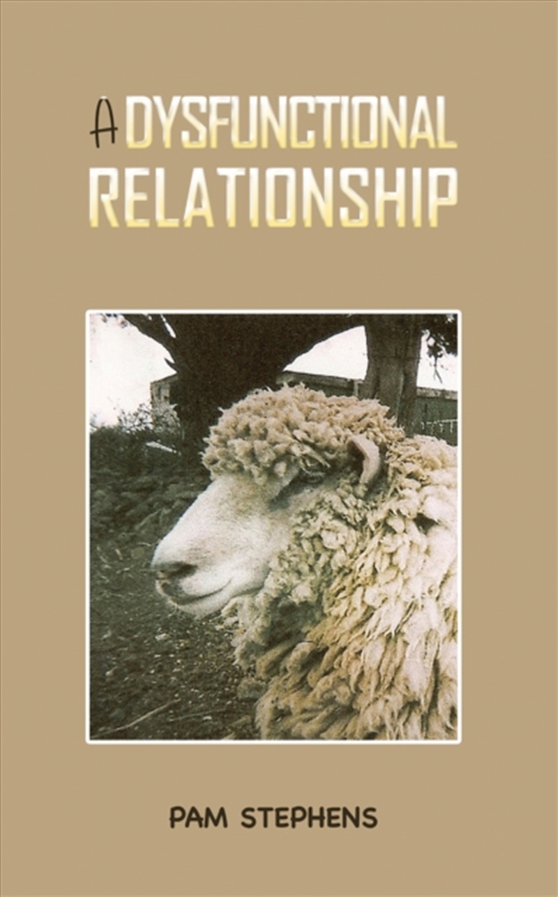 A Dysfunctional Relationship/Product Detail/General Fiction Books