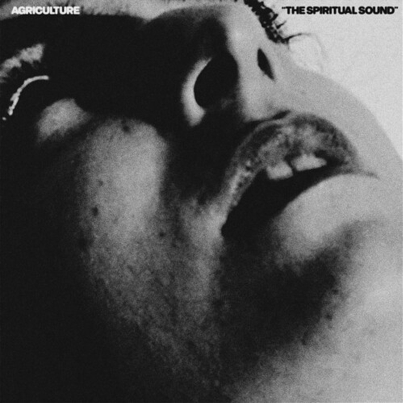 The Spiritual Sound/Product Detail/Alternative