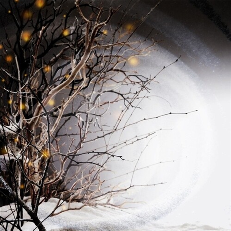 Winterlight/Product Detail/Dance