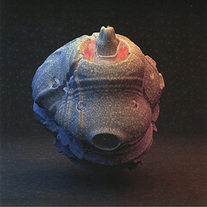 So Much/Product Detail/Dance