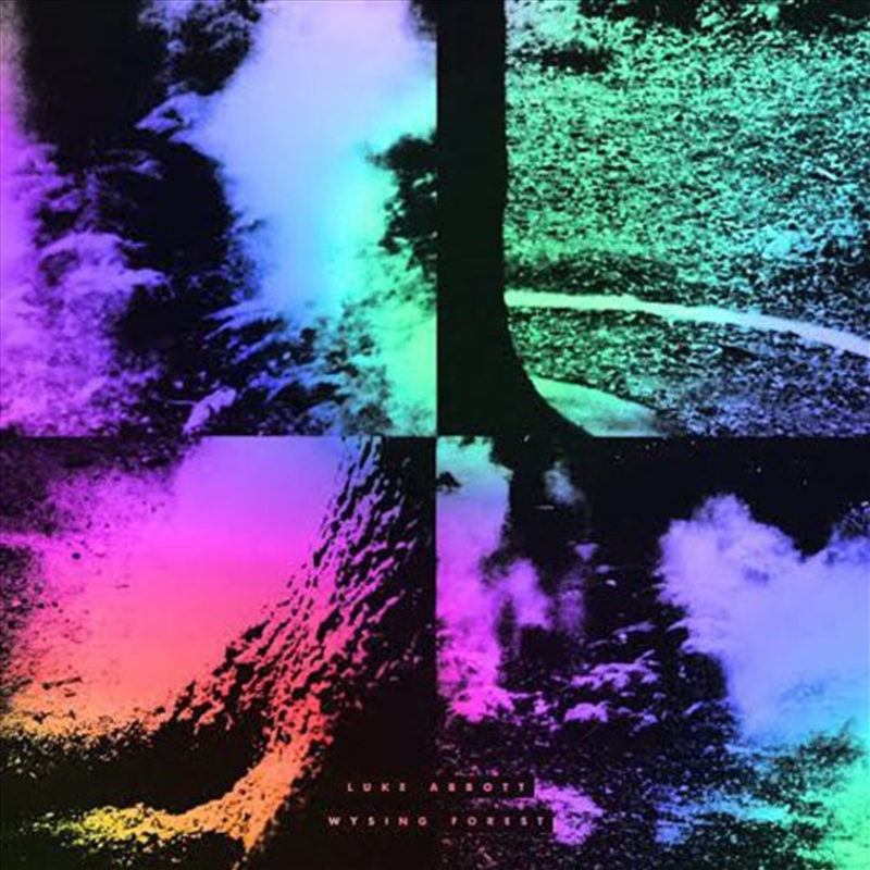 Wysing Forest/Product Detail/Dance