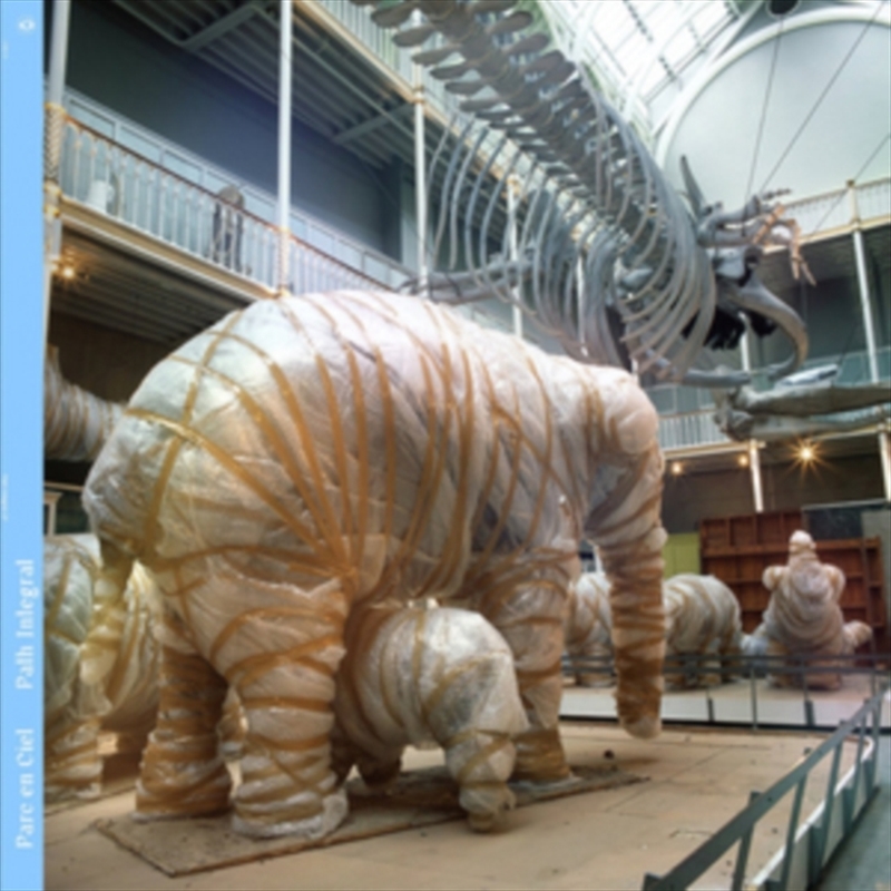 Path Integral/Product Detail/Dance