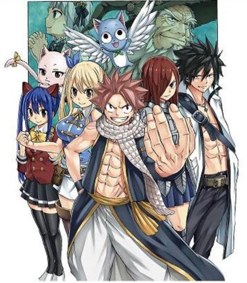 Fairy Tail: 100 Years Quest 8/Product Detail/Graphic Novels