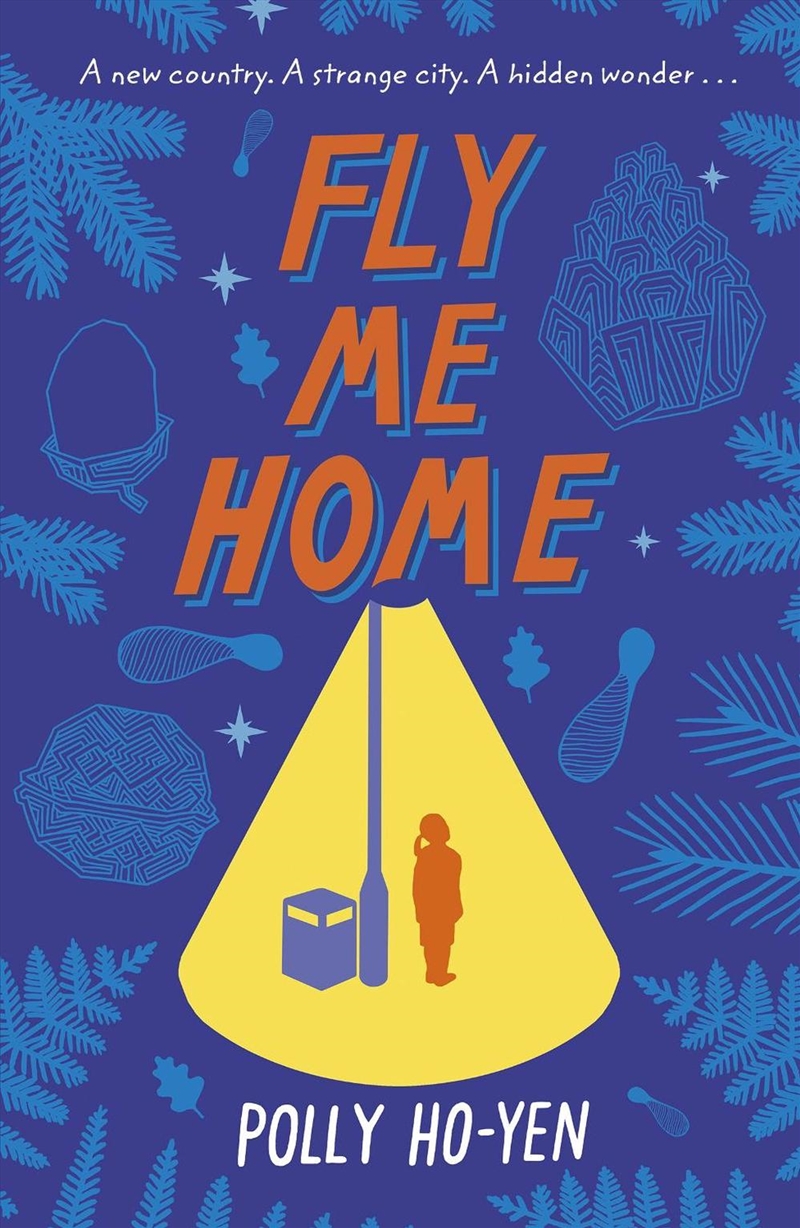 Fly Me Home/Product Detail/Childrens Fiction Books