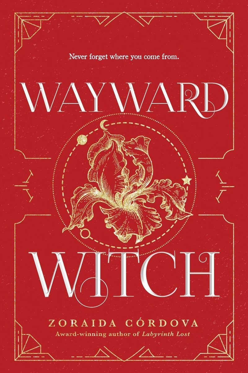 Wayward Witch/Product Detail/Childrens Fiction Books