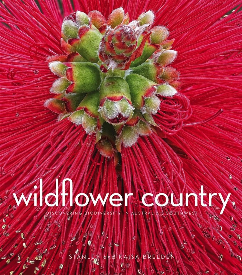 Wildflower Country/Product Detail/Art
