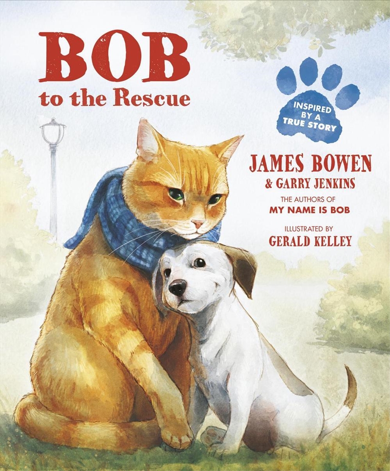 Bob To The Rescue/Product Detail/Early Childhood Fiction Books