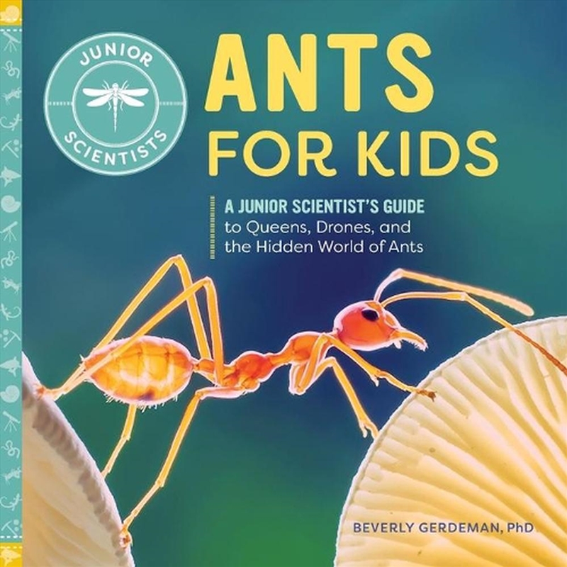 Ants For Kids/Product Detail/Childrens