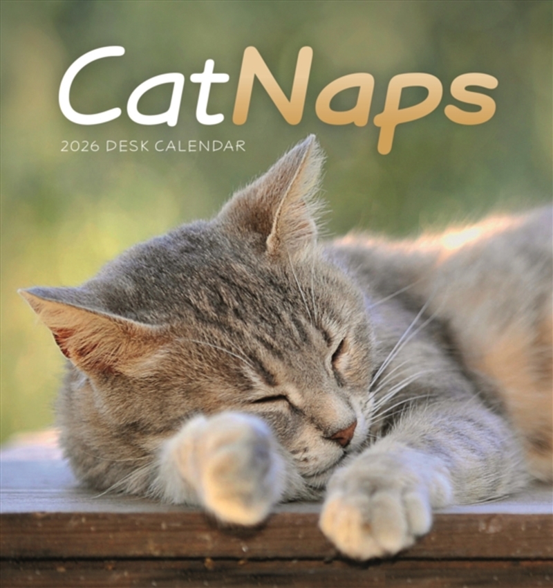 Cat Naps Easel Desk Calendar 2026/Product Detail/Calendars & Diaries
