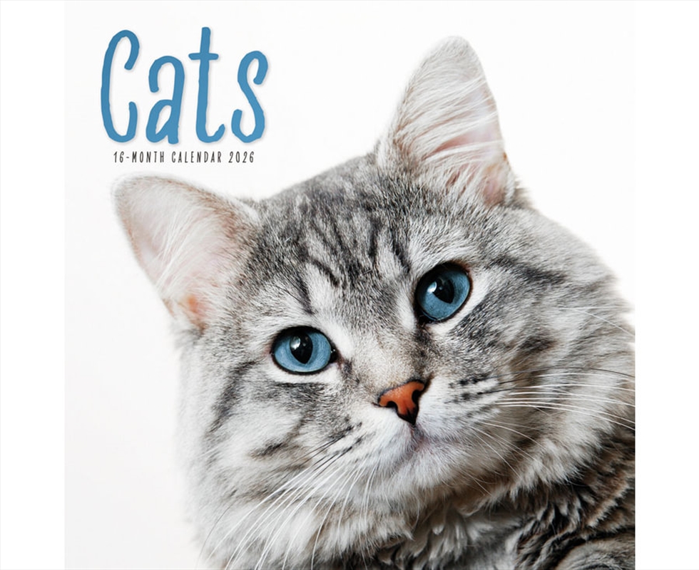 Cats Square Wall Calendar 2026/Product Detail/Calendars & Diaries