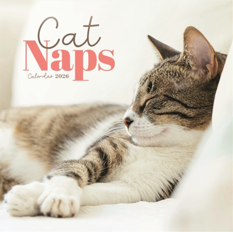 Cat Naps Square Mini Calendar 2026/Product Detail/Calendars & Diaries