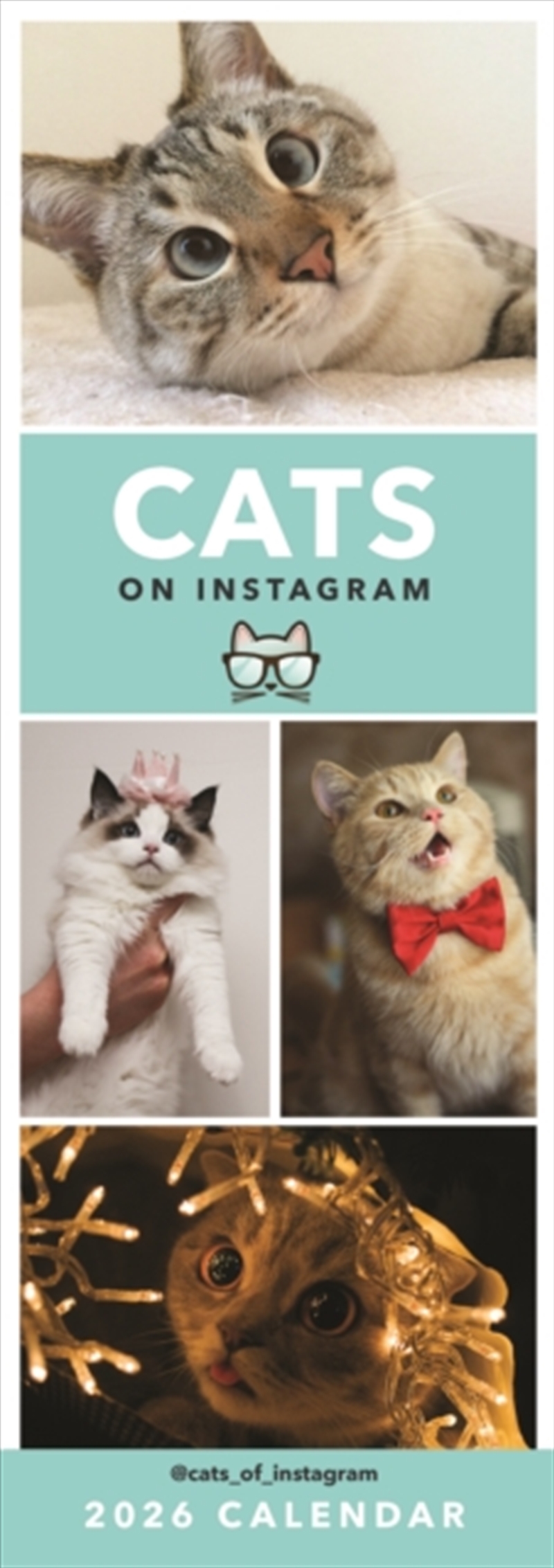 Cats On Instagram Slim Calendar 2026/Product Detail/Calendars & Diaries
