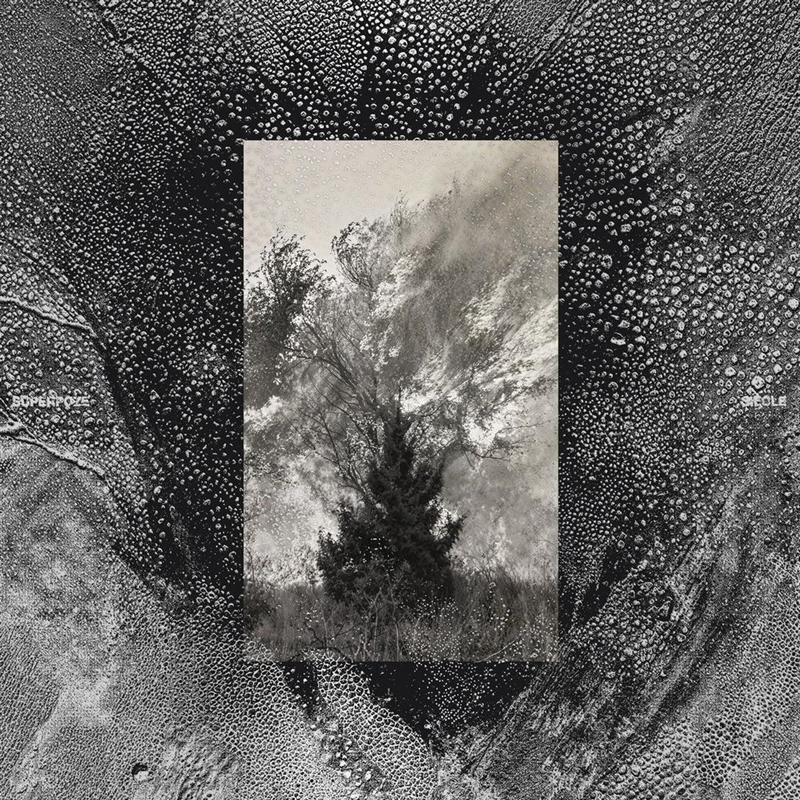 Siecle/Product Detail/Dance