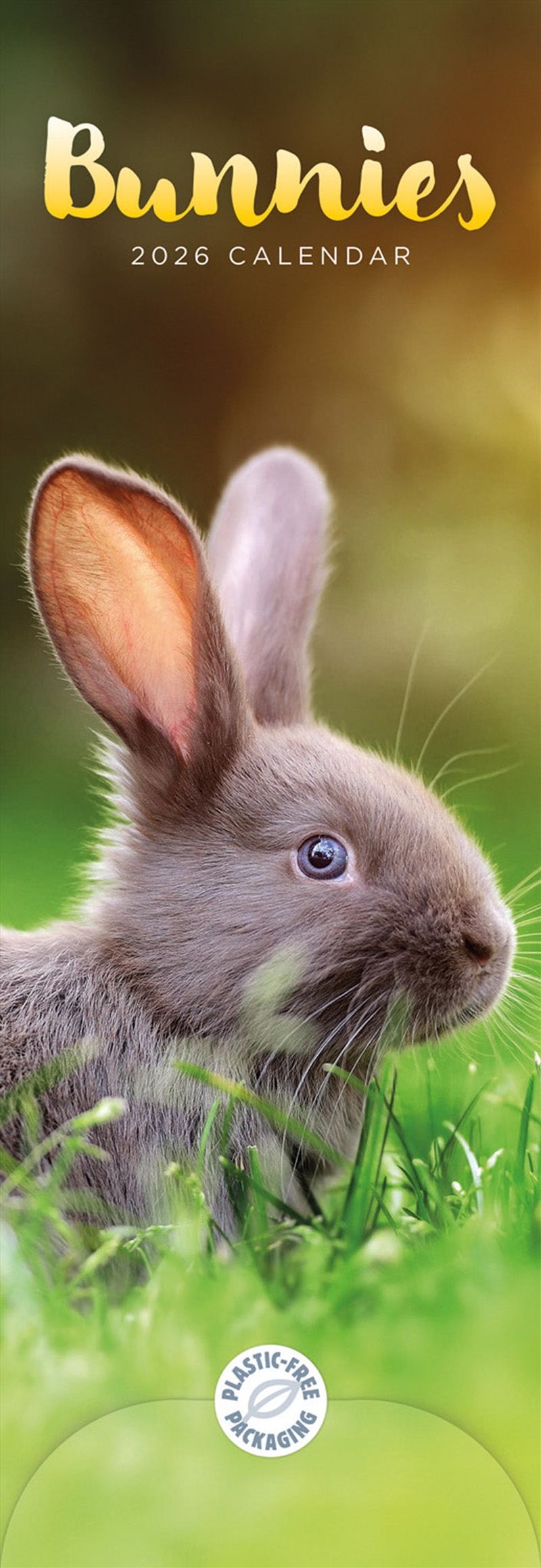 Bunnies Slim Calendar 2026/Product Detail/Calendars & Diaries