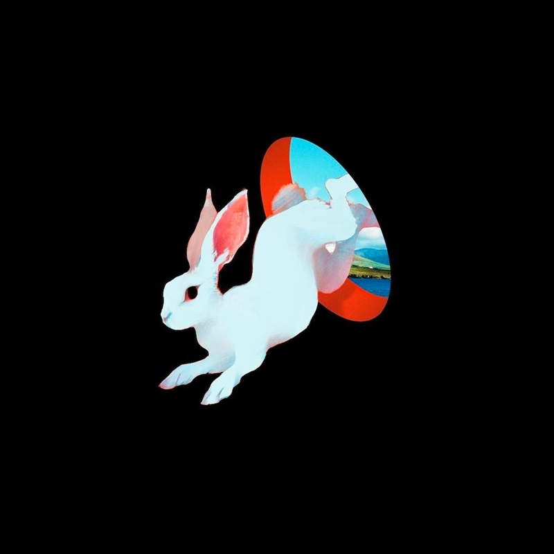 Animal Hospital/Product Detail/Rock/Pop
