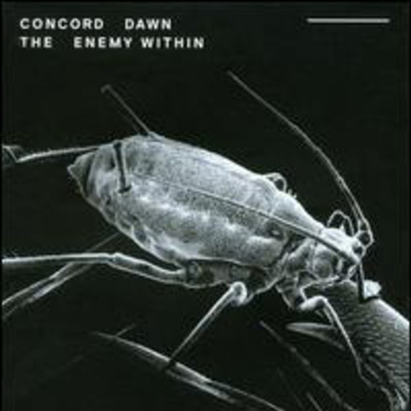 Enemy Within (Import)/Product Detail/Dance