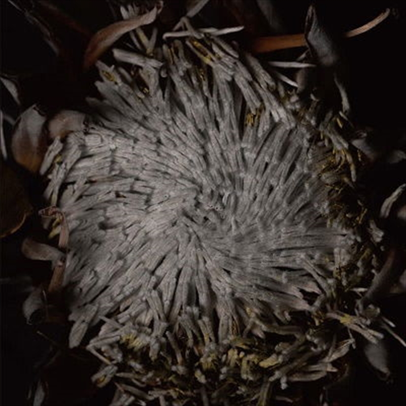 Tiers/Product Detail/Specialist