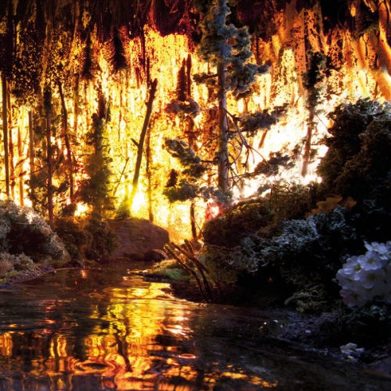 Box Full Of Magic/Product Detail/Dance