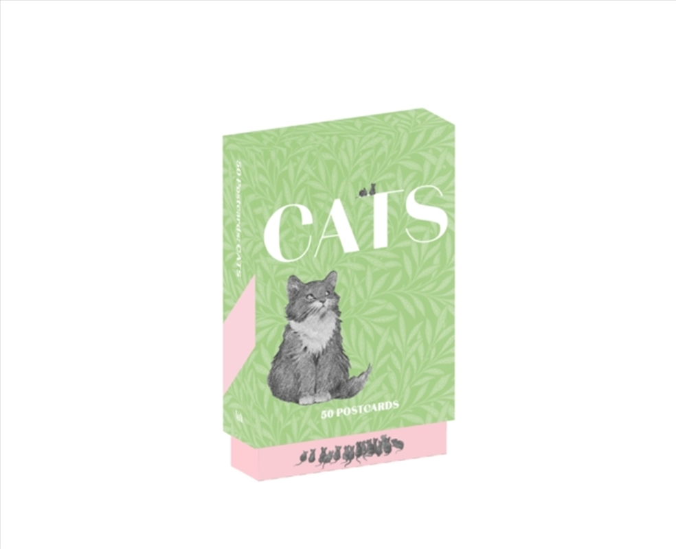 Cats : 50 Postcards/Product Detail/Stationery