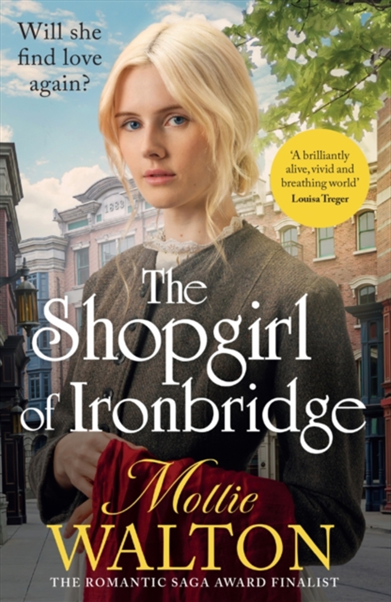 The Shopgirl Of Ironbridge/Product Detail/Historical Fiction