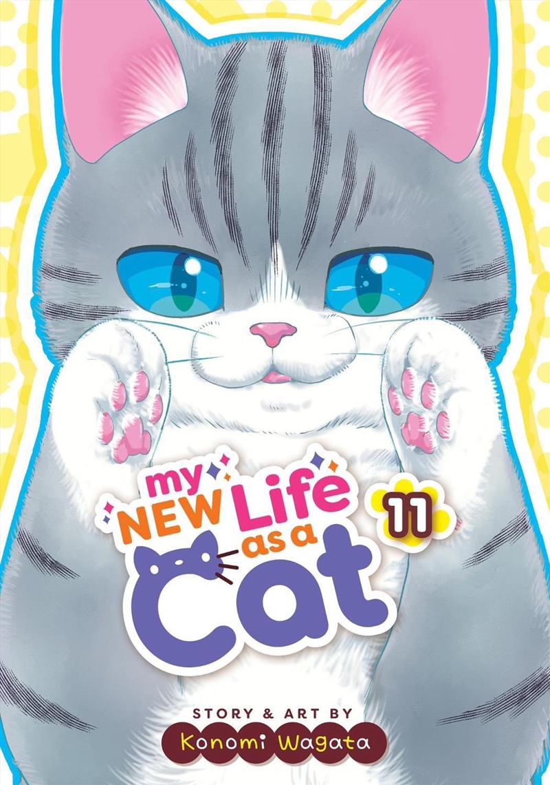 My New Life As A Cat Vol. 11/Product Detail/Graphic Novels