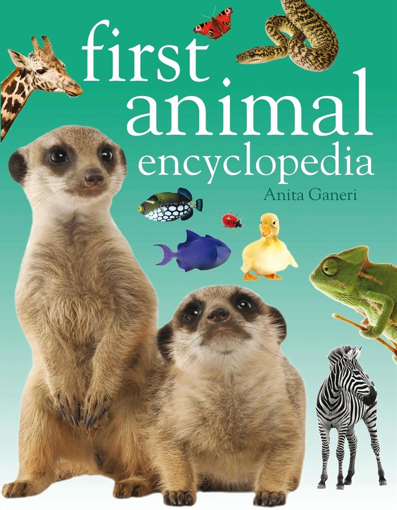 First Animal Encyclopedia/Product Detail/Childrens