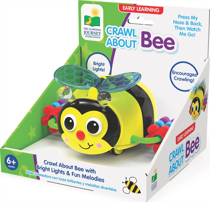 Crawl About Bee/Product Detail/Toys