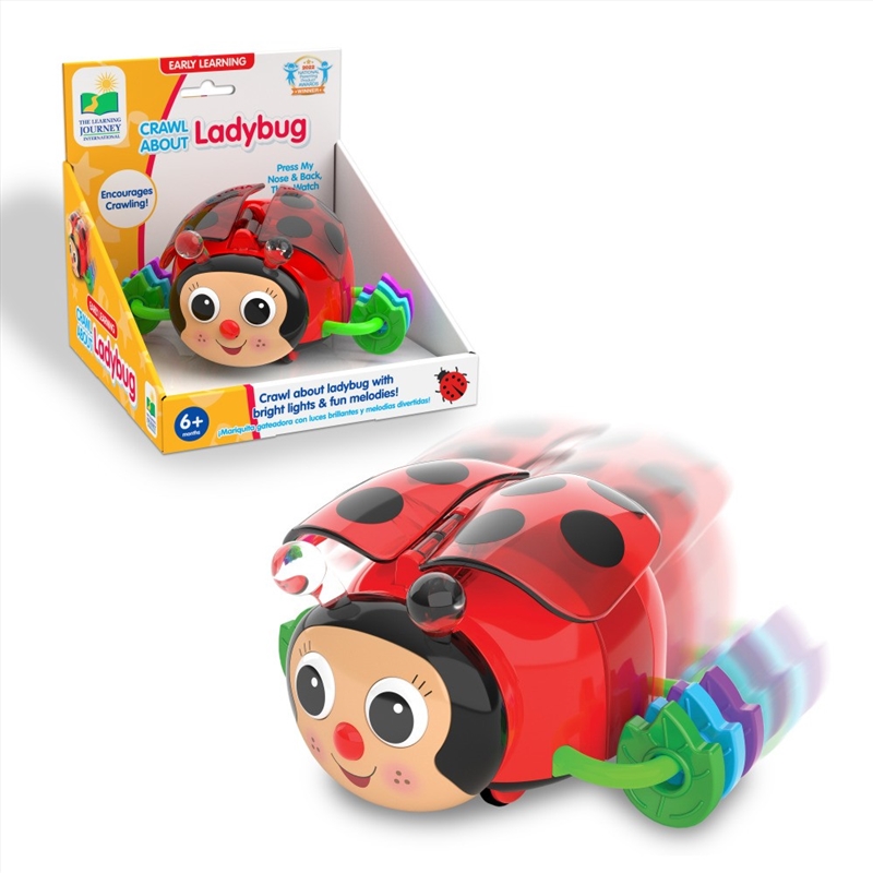 Crawl About Ladybug/Product Detail/Toys