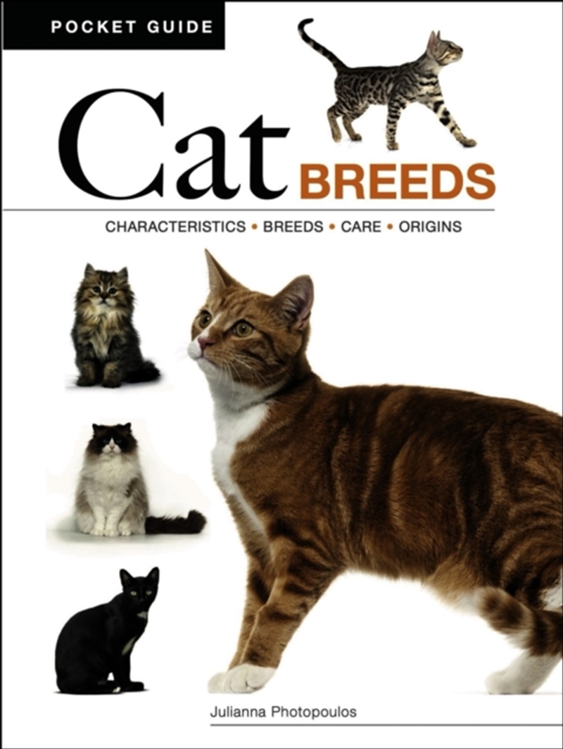 Cat Breeds : Characteristics * Breeds * Care * Origins/Product Detail/Animals & Nature