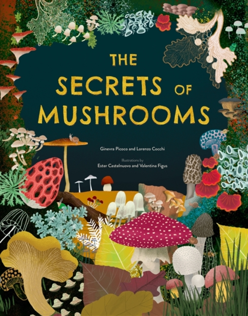 The Secrets Of Mushrooms/Product Detail/Childrens