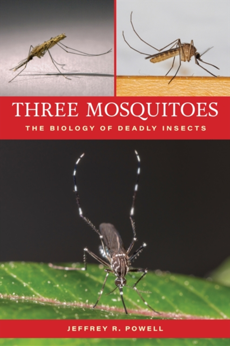 Three Mosquitoes : The Biology Of Deadly Insects/Product Detail/Animals & Nature