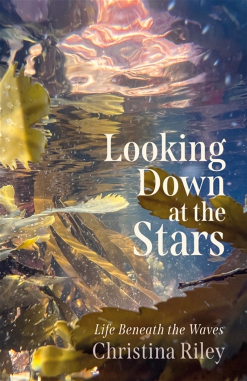 Looking Down At The Stars : Life Beneath The Waves/Product Detail/Animals & Nature