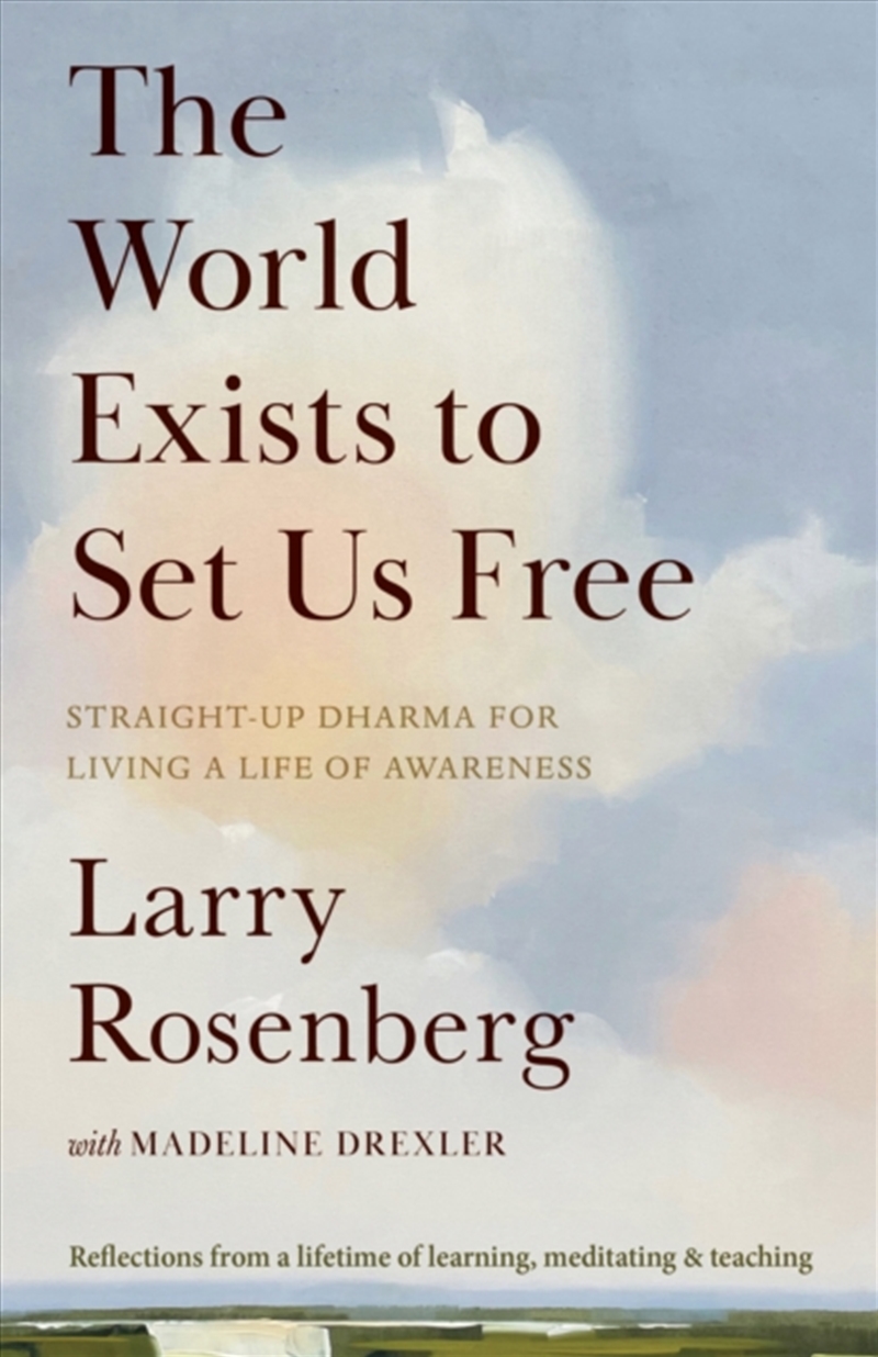 The World Exists To Set Us Free : Straight-Up Dharma For Living A Life Of Awareness/Product Detail/Reading