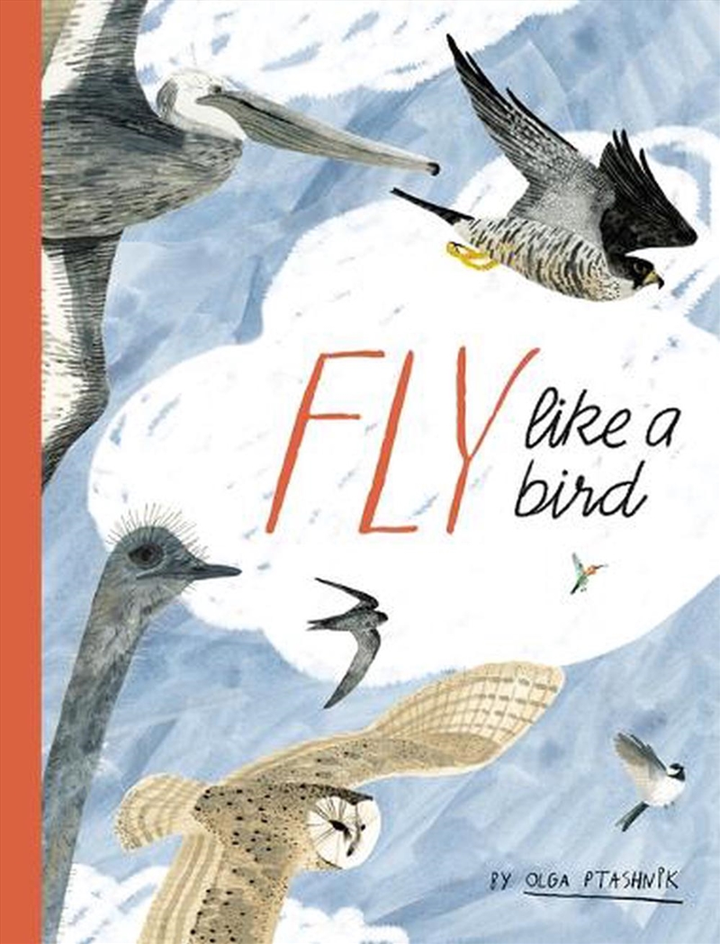 Fly Like A Bird/Product Detail/Early Childhood Fiction Books