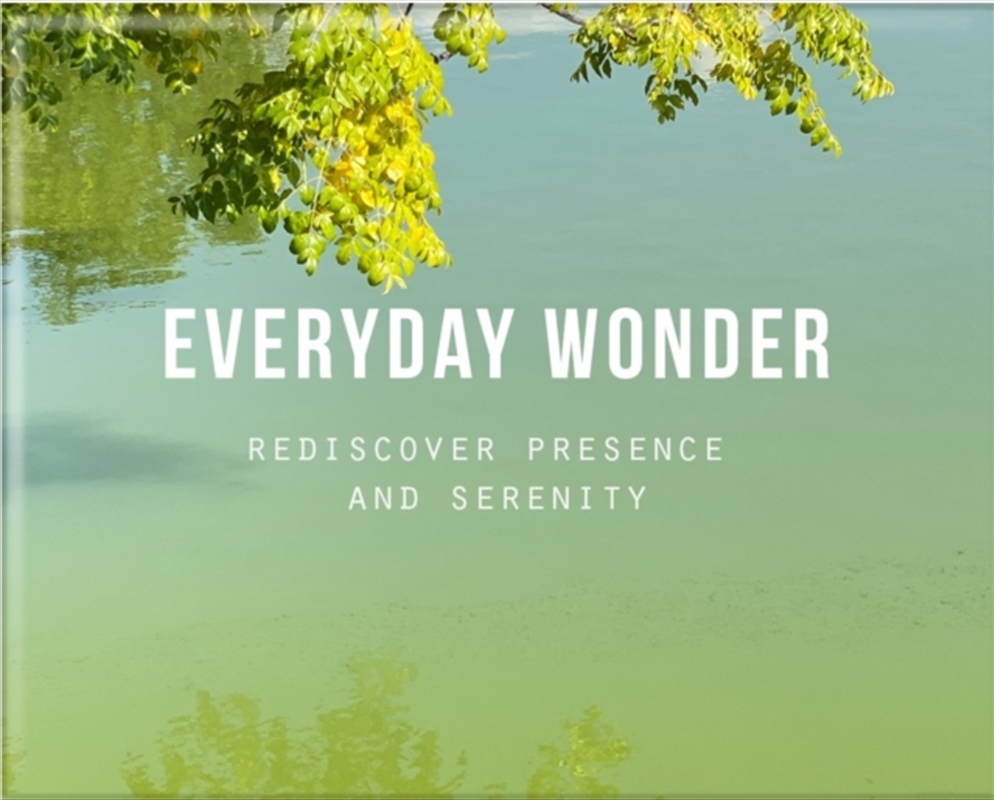 Everyday Wonder : Rediscover Presence And Serenity/Product Detail/Self Help & Personal Development