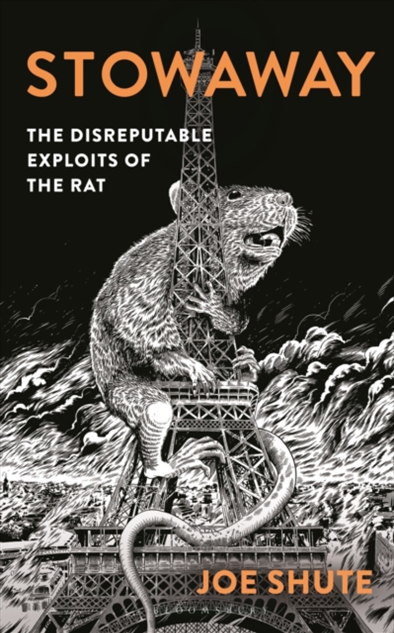 Stowaway : The Disreputable Exploits Of The Rat/Product Detail/Animals & Nature