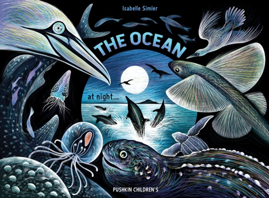 The Ocean At Night/Product Detail/Early Childhood Fiction Books
