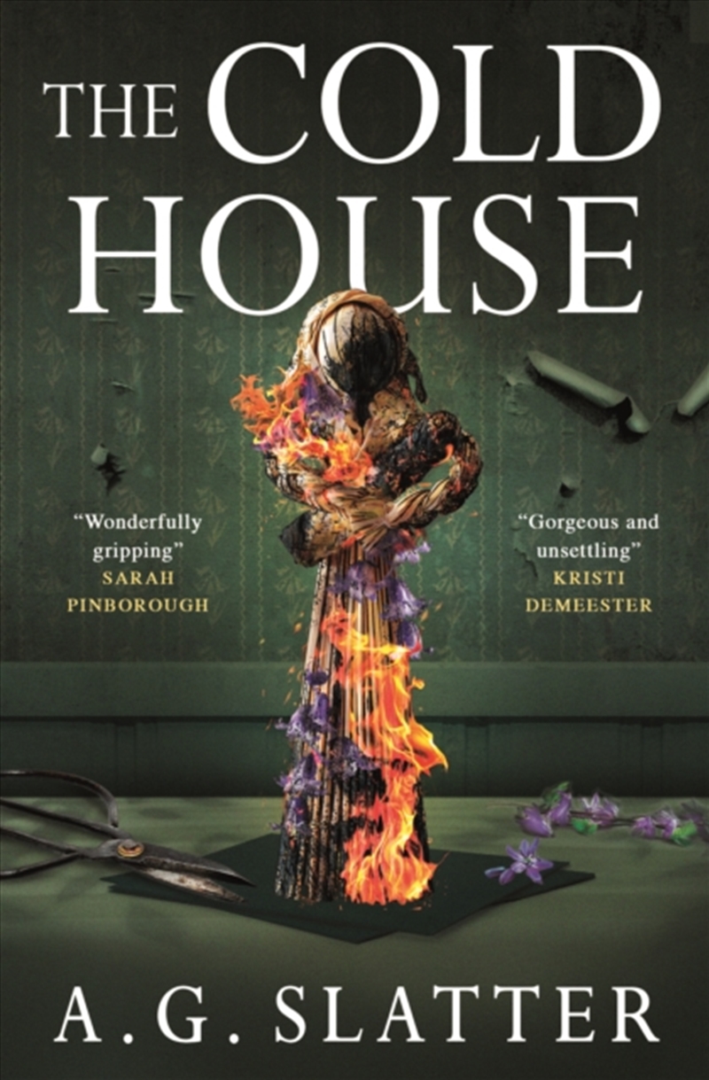 The Cold House/Product Detail/Thrillers & Horror Books
