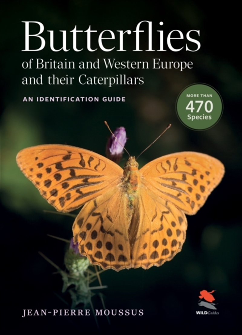 Butterflies Of Britain And Western Europe And Their Caterpillars : An Identification Guide/Product Detail/Animals & Nature