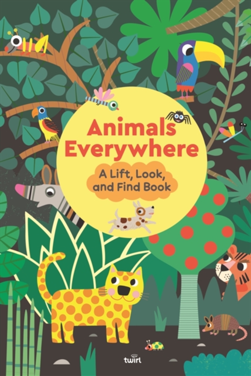 Animals Everywhere: A Lift, Look, And Find Book/Product Detail/Early Childhood Fiction Books