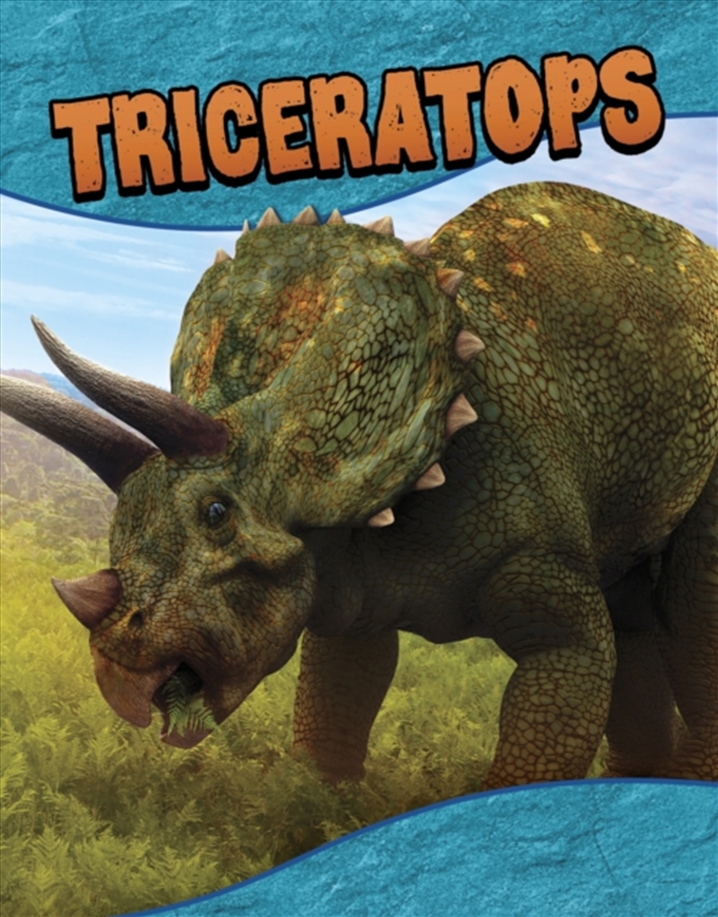 Triceratops/Product Detail/Childrens