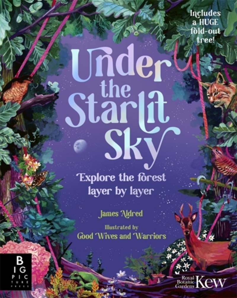 Under The Starlit Sky : Explore The Forest Layer By Layer/Product Detail/Childrens
