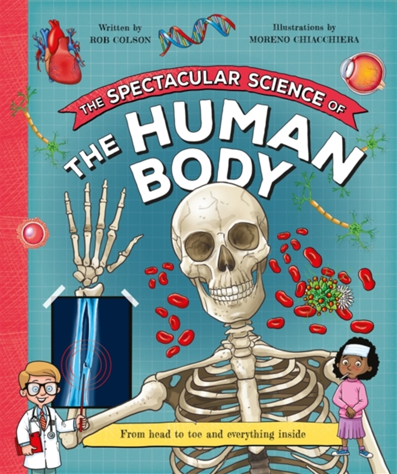 The Spectacular Science Of The Human Body : From Head To Toe And Everything Inside/Product Detail/Childrens