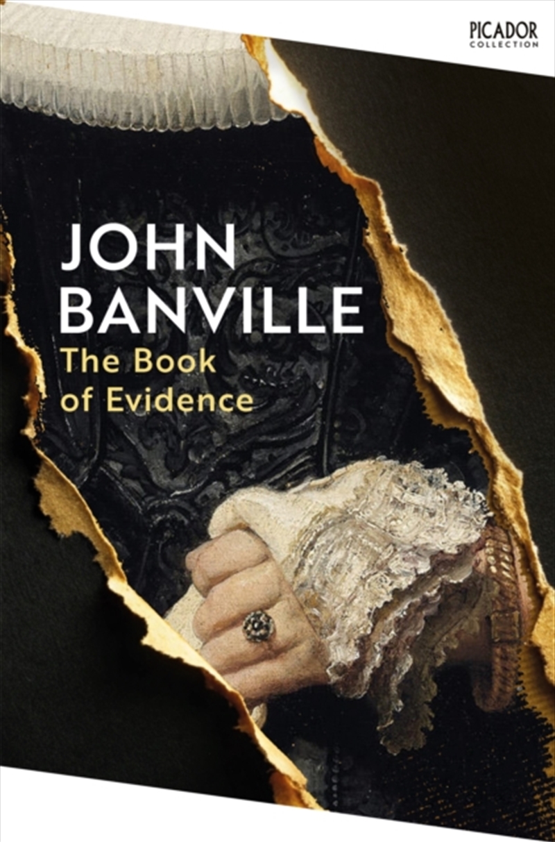 The Book Of Evidence/Product Detail/Crime & Mystery Fiction