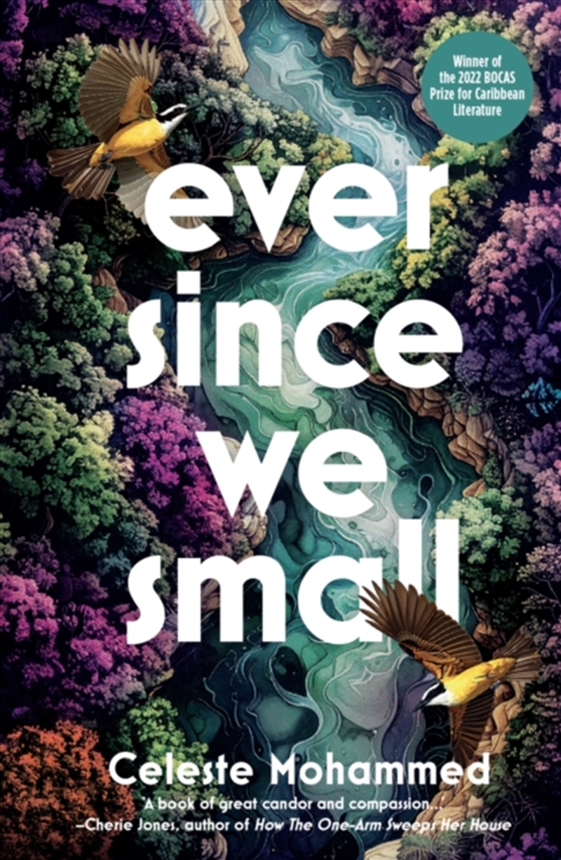 Ever Since We Small/Product Detail/General Fiction Books