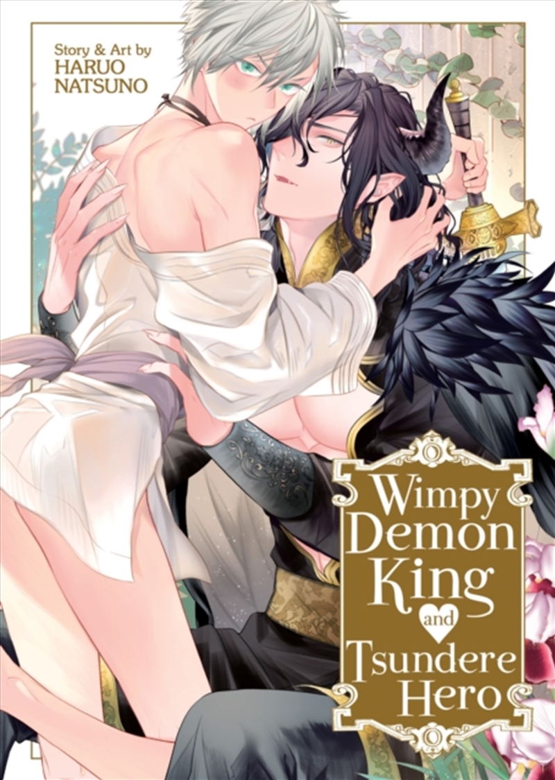 Wimpy Demon King And Tsundere Hero/Product Detail/Graphic Novels