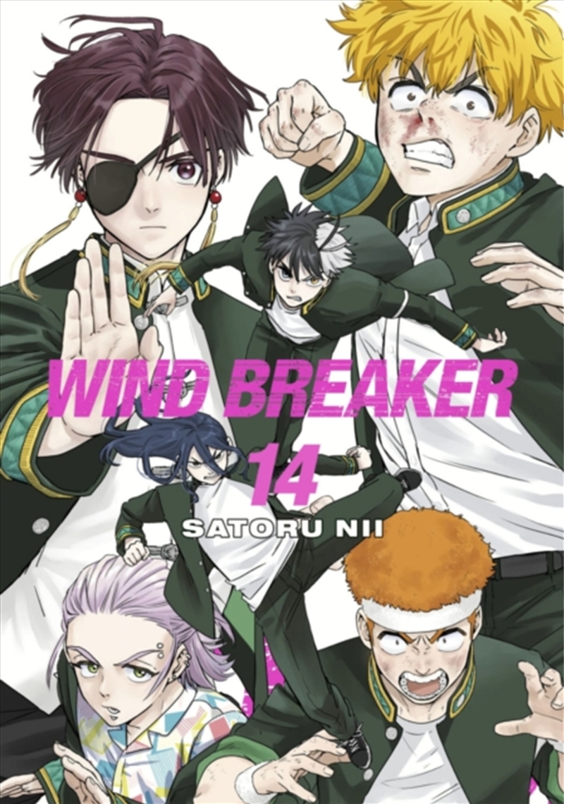Wind Breaker 14/Product Detail/Graphic Novels