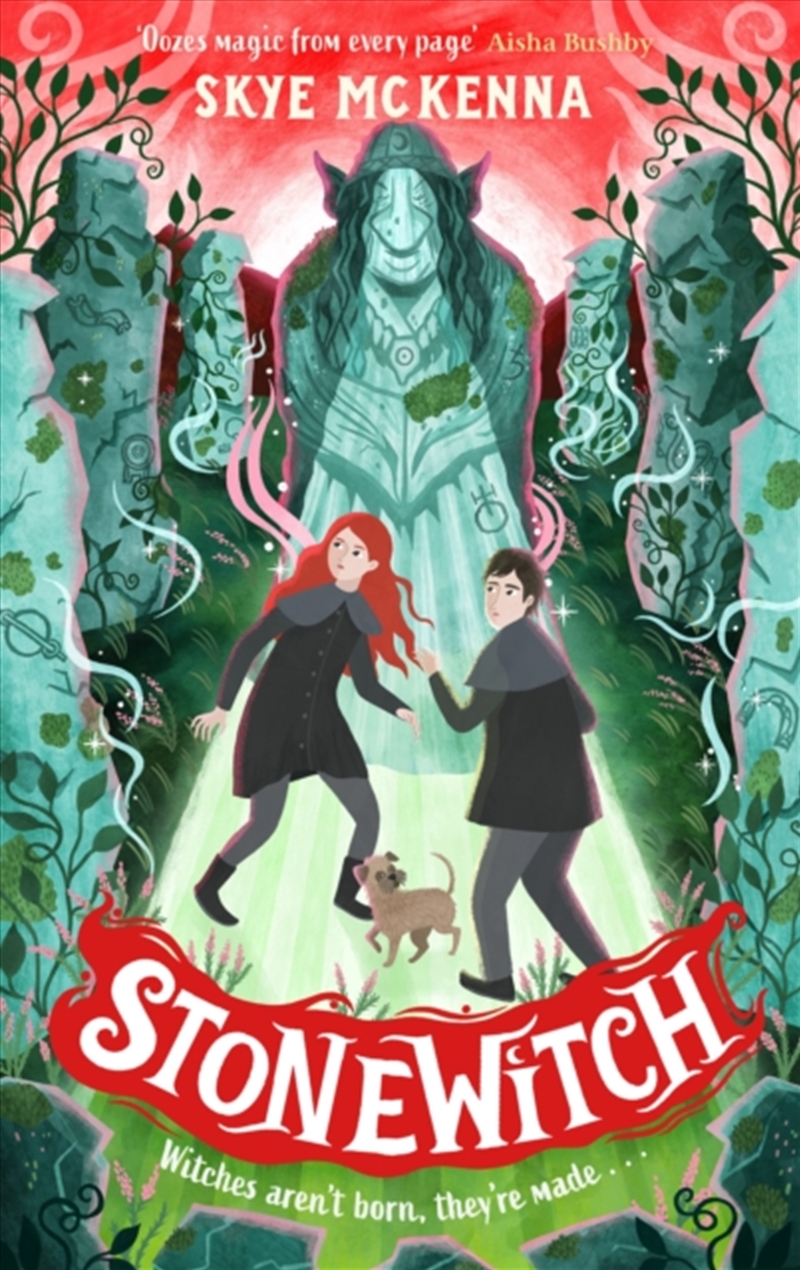 Hedgewitch: Stonewitch : Book 4/Product Detail/Childrens Fiction Books