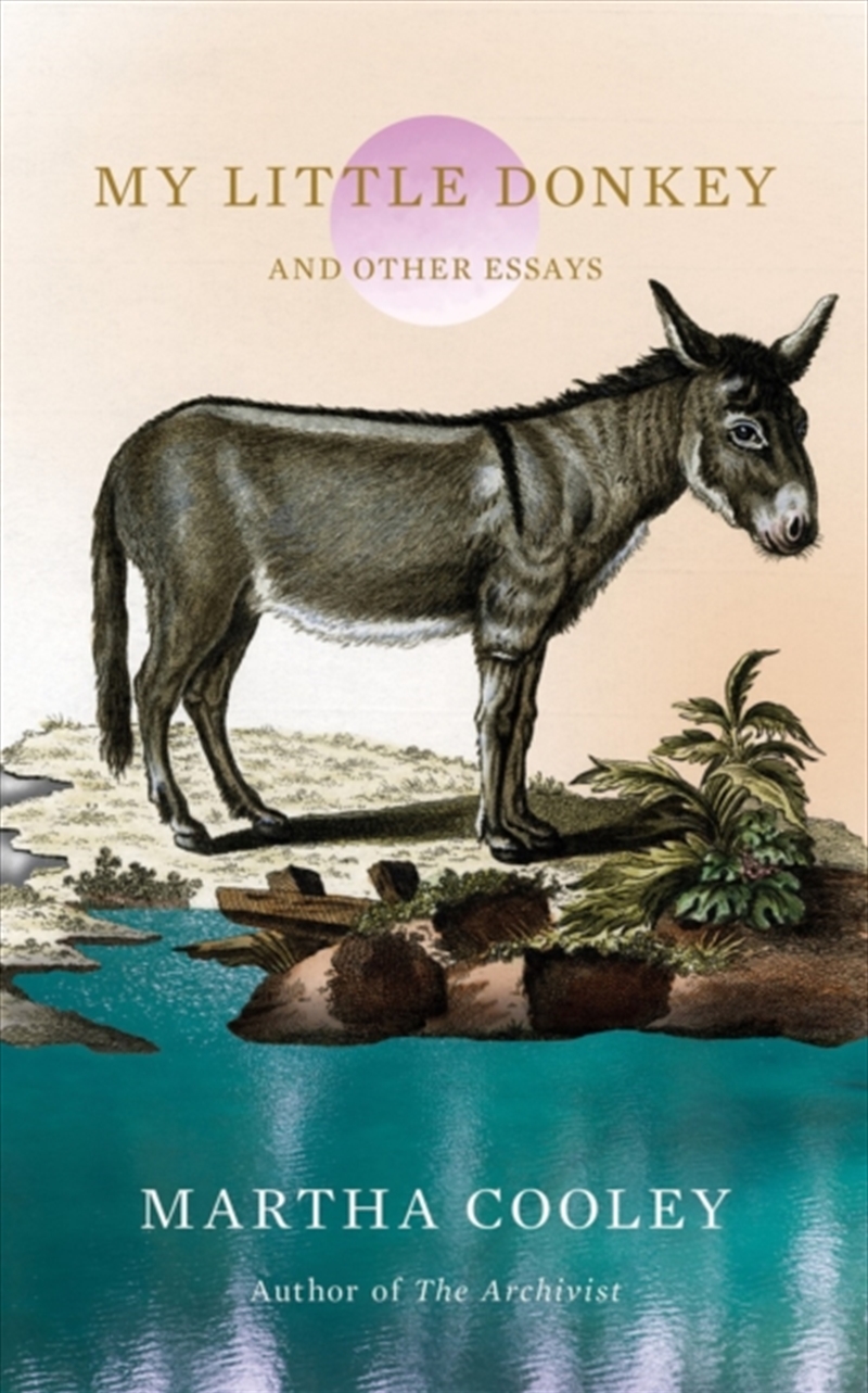 My Little Donkey : And Other Essays/Product Detail/Travel Writing
