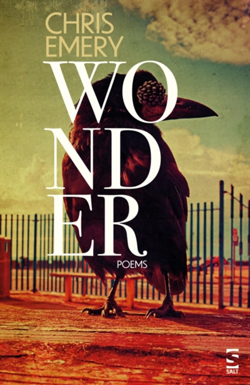 Wonder/Product Detail/Poetry